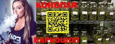 гидра Гатчина