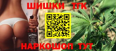 гидра Гатчина