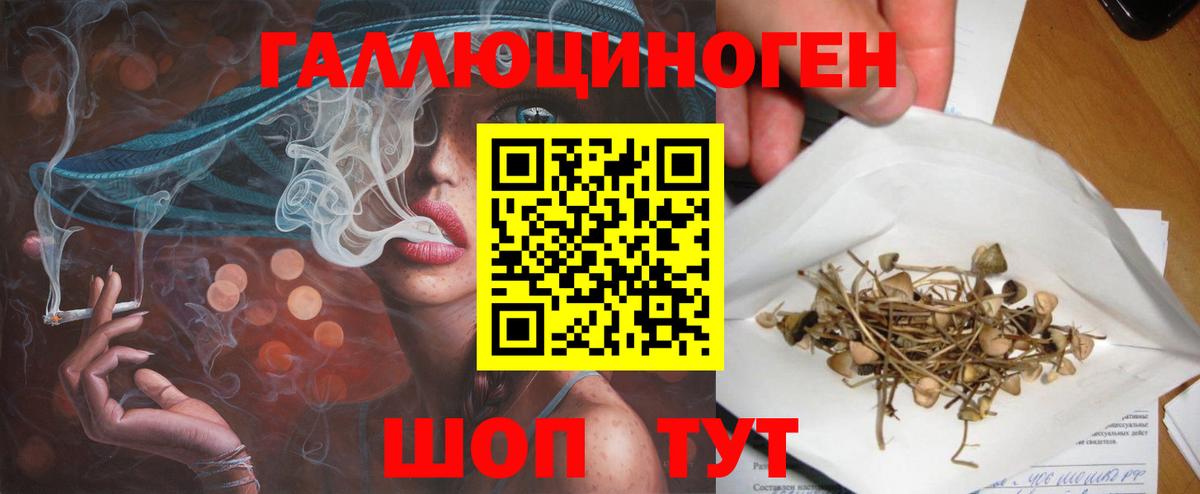Псилоцибиновые грибы MAGIC MUSHROOMS  Вход с VPN  Галлюциногенные грибы Psilocybine cubensis  Мирный 